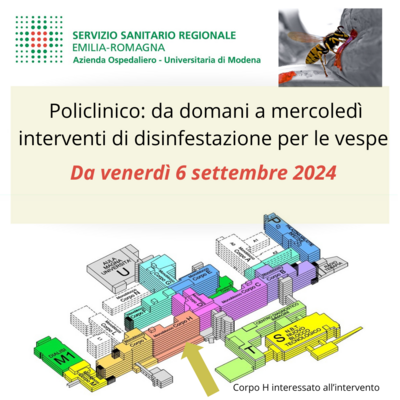 Policlinico: domani interventi di disinfestazione per le vespe 